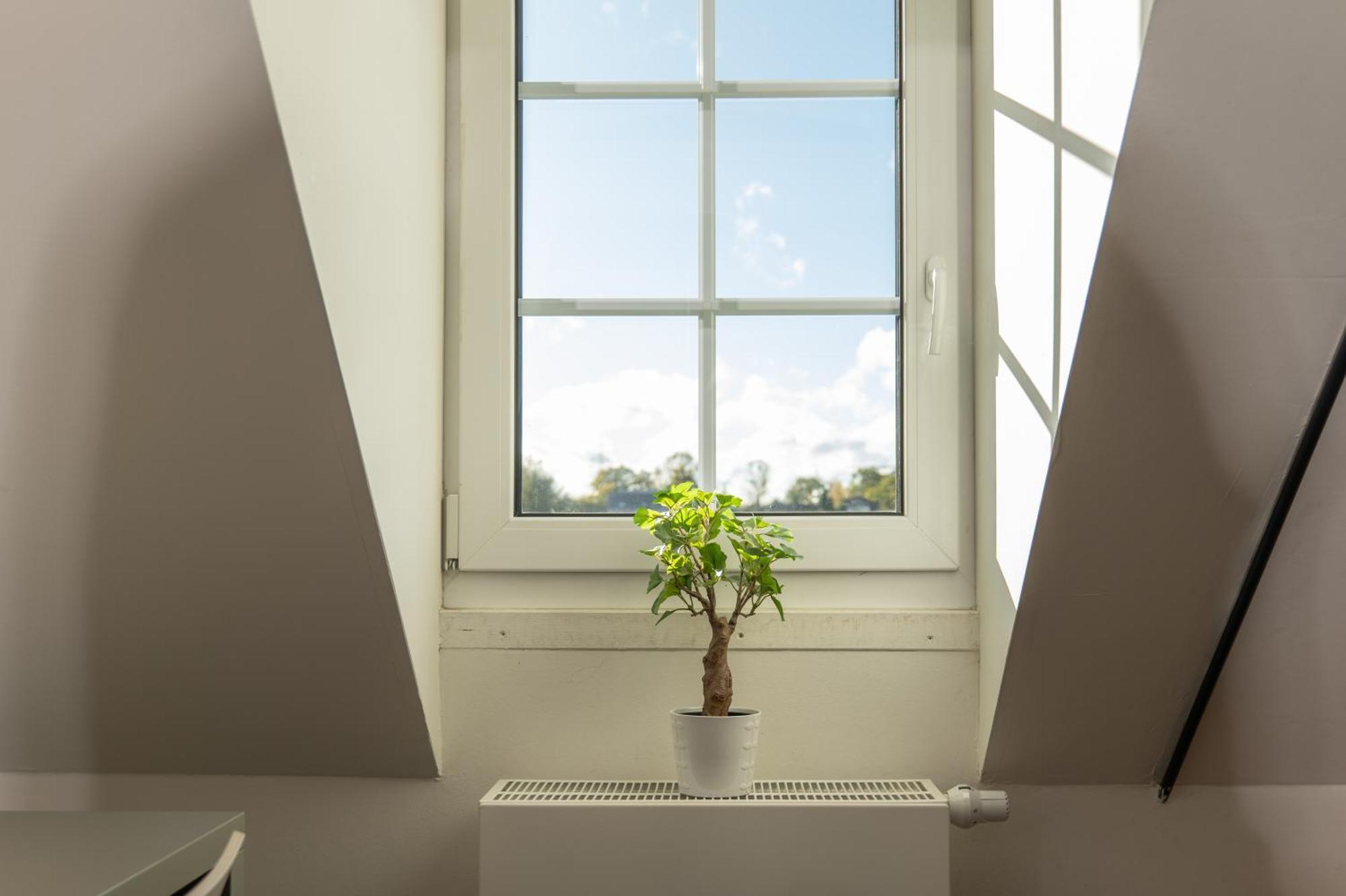 Haus Overbach Julich Ngoại thất bức ảnh